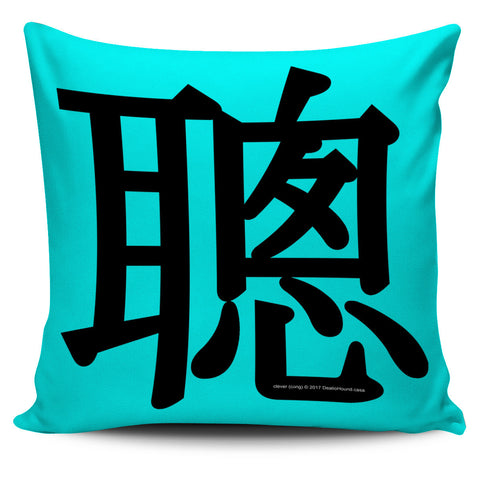 Clever - Feng Shui Zen Pictograph Pillow Cover! Clever - Feng Shui Zen Pictograph Pillow Cover!