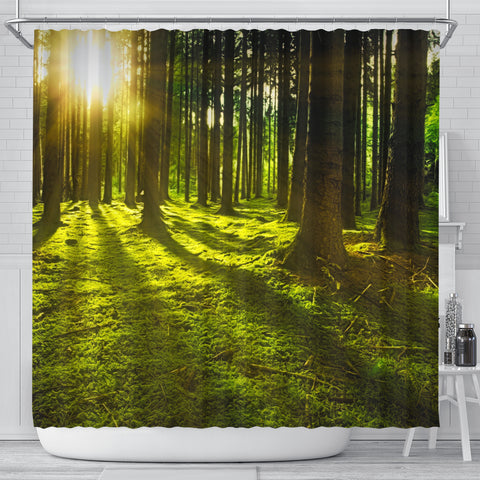 Trees In Sunlight Shower Curtain - FREE SHIPPING