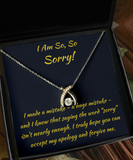 Wishbone Necklace I Am Sorry Apology Gift, Girlfriend Apology, Please Forgive Me Jewelry, Sorry Message Card, Sister Apology Pendant